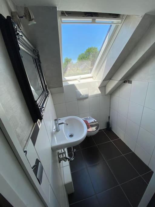 Ferien-Villa Direkt Am Rhein Sauna/Whirlpool Gotterswickerhamm Dış mekan fotoğraf